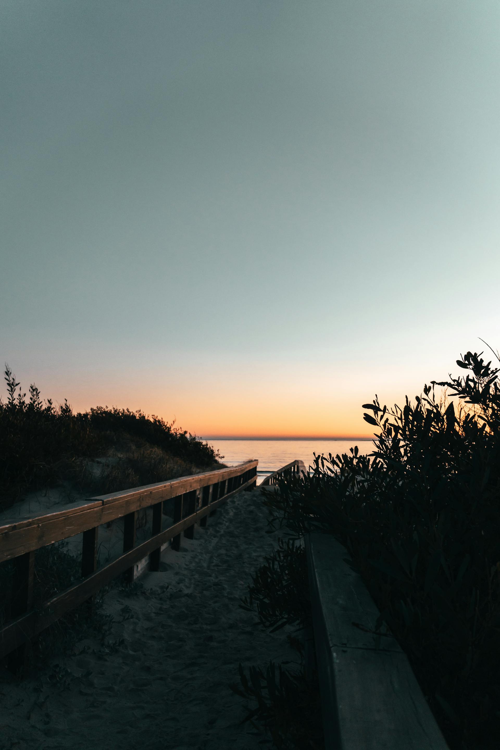 Estudio Inmobiliario Raiz